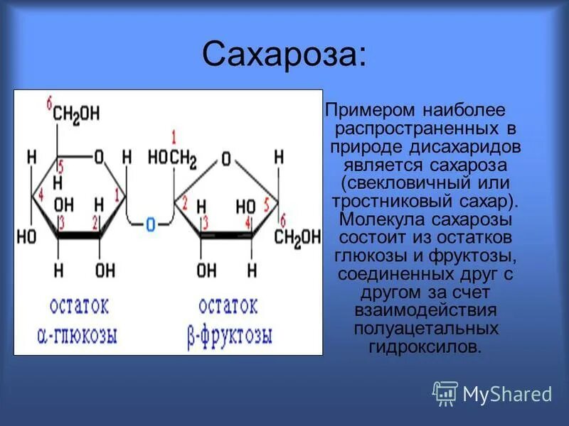 Дисахаридом является глюкоза сахароза. Молекула сахарозы состоит из остатков Глюкозы. Сахароза структур формула. Структурная формула молекулы сахарозы. Сахароза формула химическая структура.