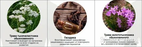 Какие травы убивают человека