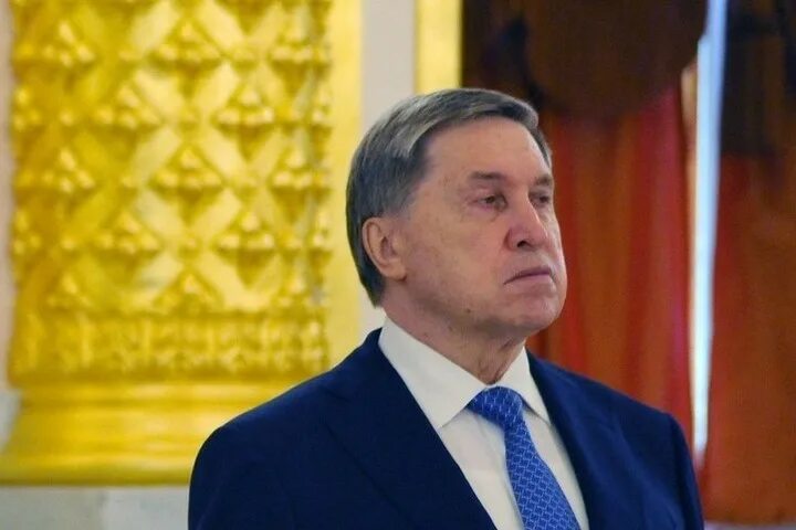 Помощник президента российской федерации список с фото Путин переназначил Шалькова на должность помощника РИА Новости, 14.05.2024