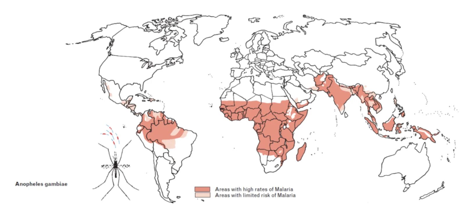 Распространение малярии. Малярия ареал распространения. Карта распространения малярии в мире 2021. Распространение малярии в мире. Мировой ареал распространения малярии.