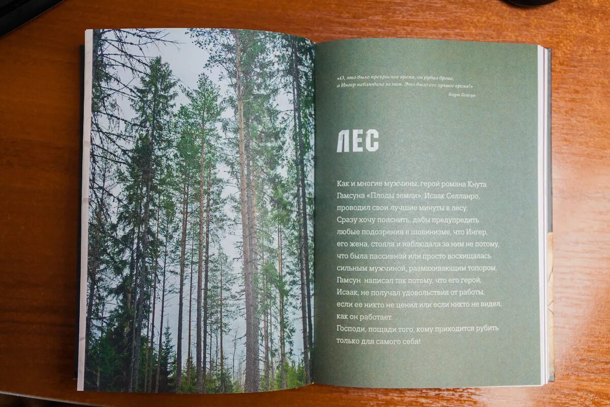 Книга лес. Норвежский лес книга про лес. Книга дрова норвежский лес. Норвежский лес иллюстрации к книге. Норвежский лес книга обложка.