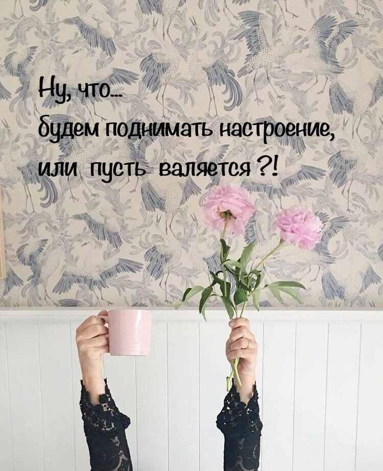 Цитата день настроение. Настроение цитаты. хорошее настроение цитаты. высказывания про настроение. афоризмы про настроение.