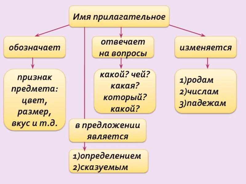 Имя прилагательное определение 3 класс. Правила имя прилагательное 4 класс. Правила прилагательное в русском языке 5. Правило прилагательное 3 класс русский язык.