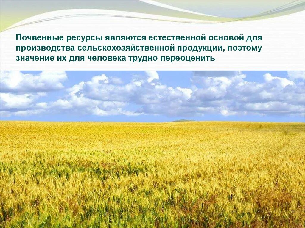 Перечислите почвенные ресурсы. Почвенные ресурсы. почвенные ресурсы презентация. рациональное использование и охрана почв 8 класс география. почвенные ресурсы и человек.