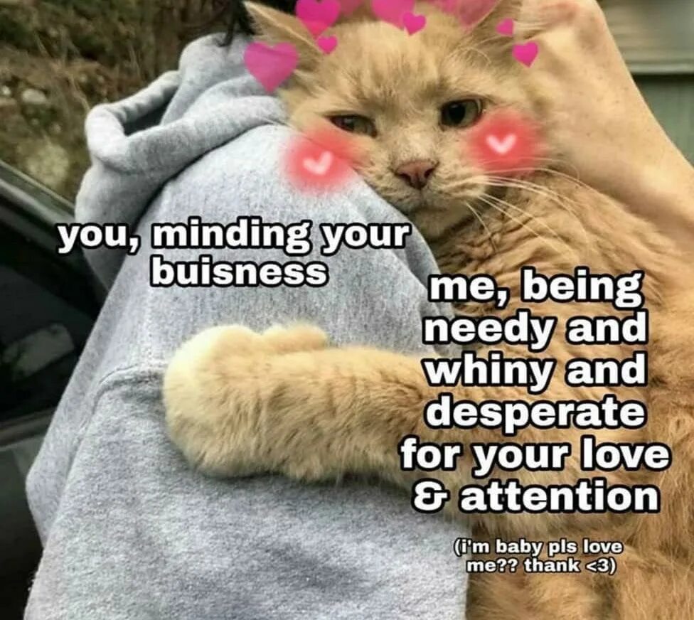 Wholesome memes. Cat mem wholesome. Wholesome Cat meme. Wholesome meme доброе утро.