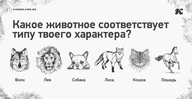 Характеристика человека как животного. Характер животных. Животные с характером. Характер по животному. Психологические тесты по животным.