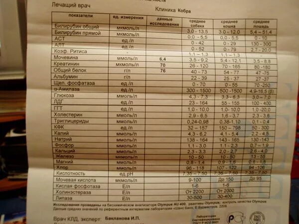 анализ мочевого камня. виды мочевых камней при мочекаменной болезни. заболевания мочевыделительной системы мочекаменная болезнь. какой анализ определяет камни в почках. анализ мочи камни в почках.