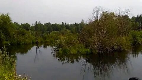 Щербинки рыбалка