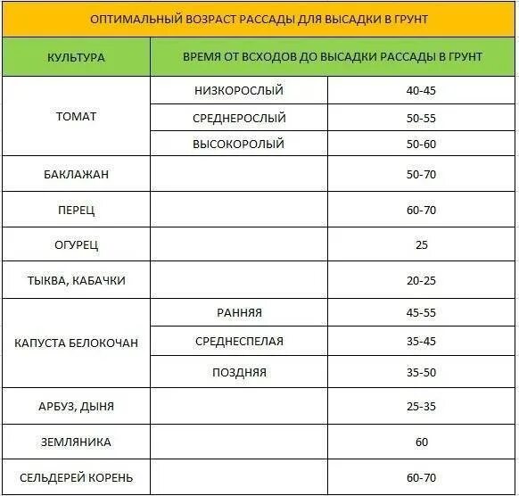 В каком месяце можно высаживать. Сроки посадки томатов на рассаду таблица. Сроки посева семян таблица. Таблица посева семян овощных культур. Срок высадки томатов на рассаду.