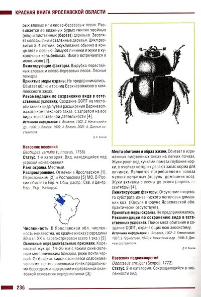 Проект животные красной книги ярославской области
