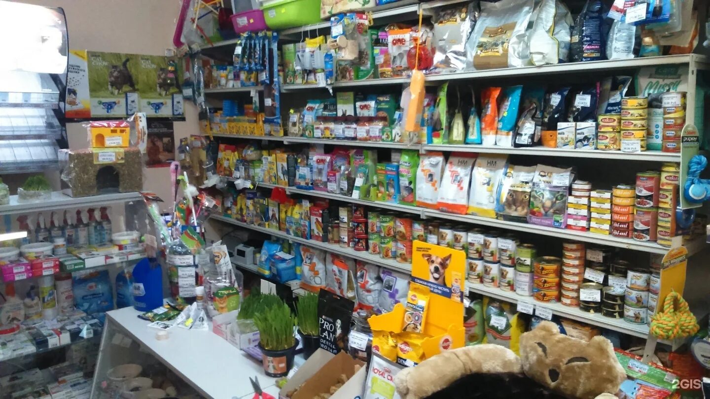 товары для животных рядом со мной. зоомагазин стерлитамак. что продается в зоомагазине. мир хвостатых. товары для животных рядом со мной.