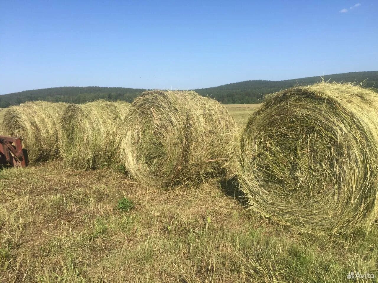 Сено разнотравье рулон 300 кг. Сено Луговое разнотравие тюки. Сено Луговое в рулонах. Сено в рулонах 350кг.