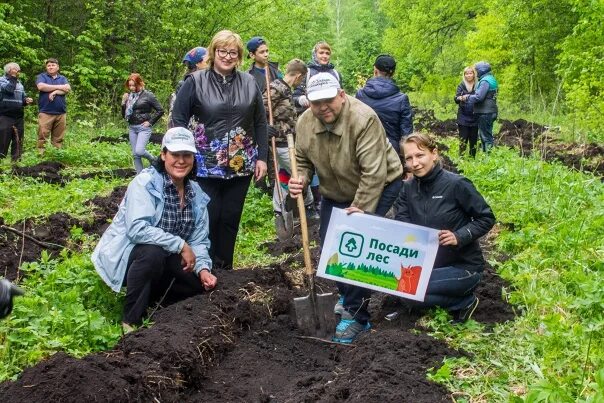 Возрождение леса. Посадка леса Республика Башкортостан. Лесное Возрождение. Посади дерево жизни.