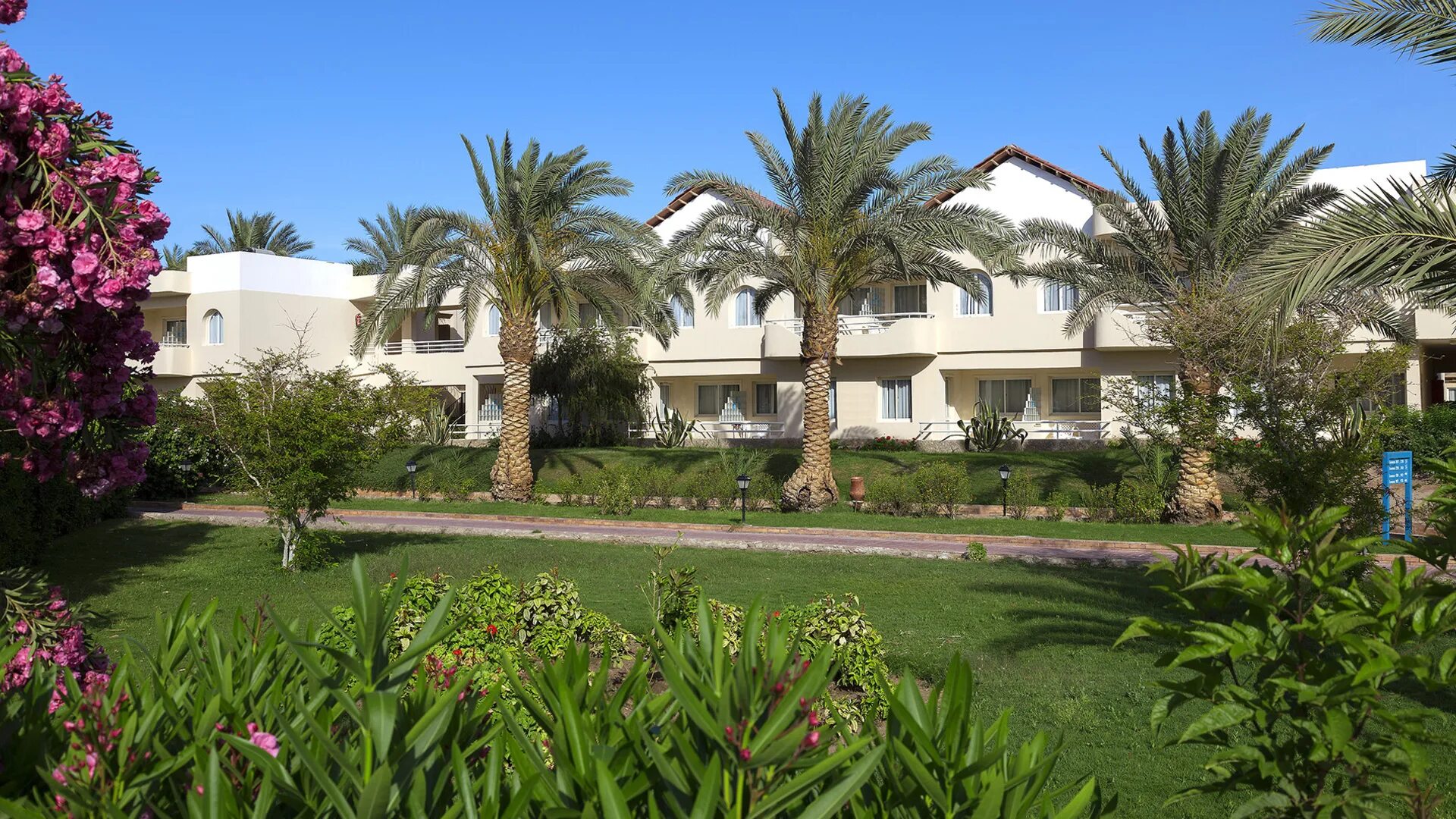 Calimera hurghada. Calimera Hotel Hurghada. Отель Calimera Египет. Отель Golden Beach Хургада. Отель Калимера Хургада.
