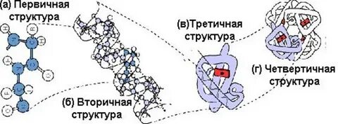 Первичный вторичный третичный четвертичный