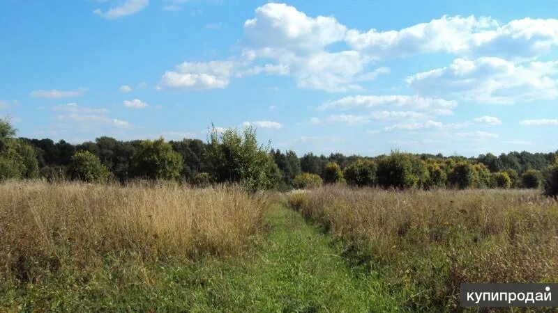 Сергиево земельные участки купить. Константиново Сергиево-Посадский район. Участок 24 га. Земля сельхозназначения Алайского района.