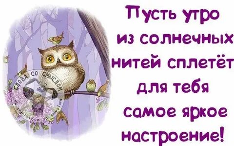 Доброе утро картинки со смыслом смешные