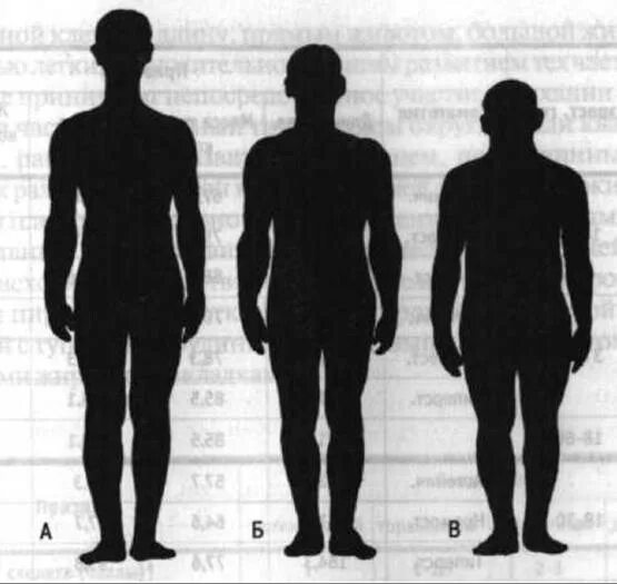 Исследование роста человека. Рост человека. Градация роста человека. Градация людей по росту. Гиперстеническое Телосложение.