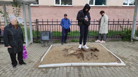 Общественная правда