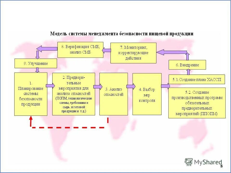 Система менеджмента пищевой безопасности хассп. Цель системы менеджмента безопасности пищевой продукции. Процессы системы менеджмента безопасности. Система безопасности пищевой продукции. Политика в области смбпп.