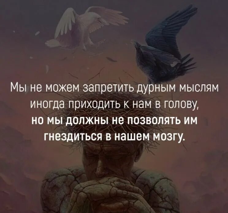 Плохие мысли цитаты. Дурные мысли в голове. Высказывания про мысли в голове. Цитаты про плохие мысли в голове. Много чего приходит в голову