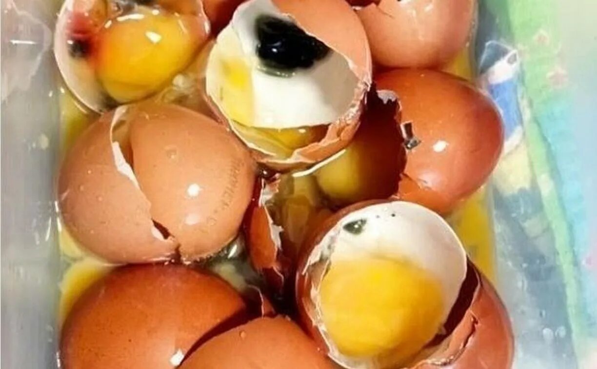 Во рту тухлый яиц. Тухлое яйцо. Тухлые яйца в магазине. Яйца на Камчатке.