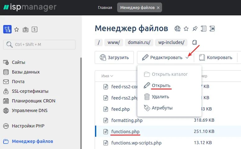 Скрипты wordpress