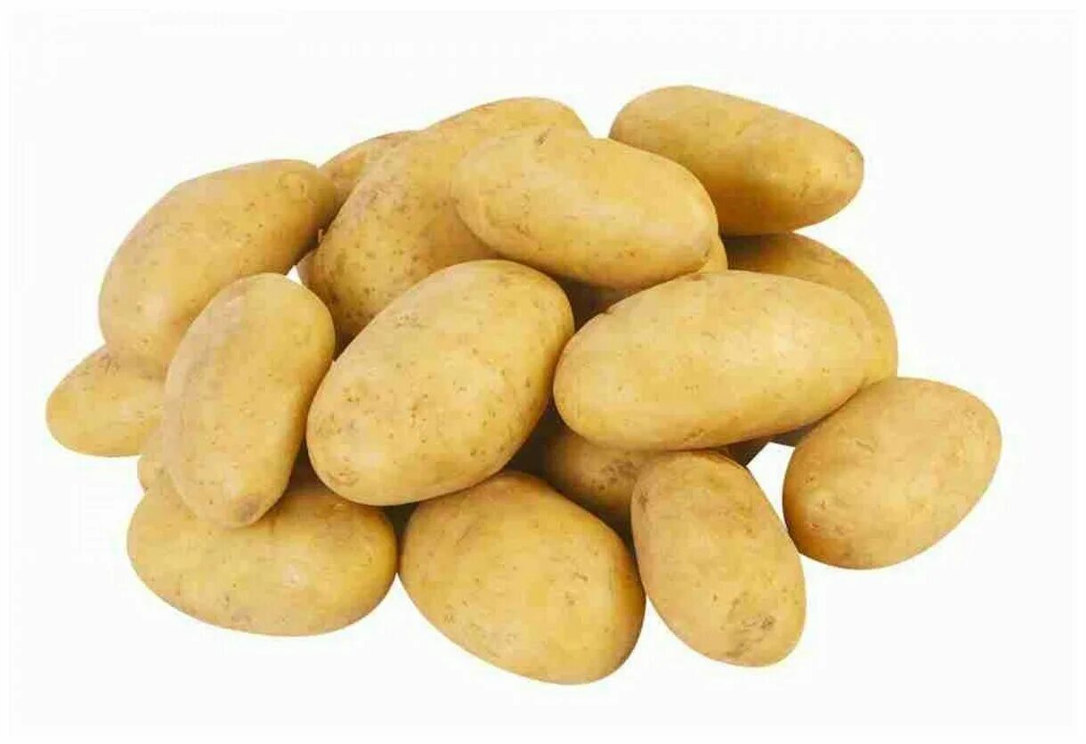 картофель белый гала 1кг. белая картошка для жарки. порция жареной картошки. нарезная картошка на белом фоне. белая картошка для жарки.