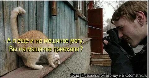 Видишь похоже