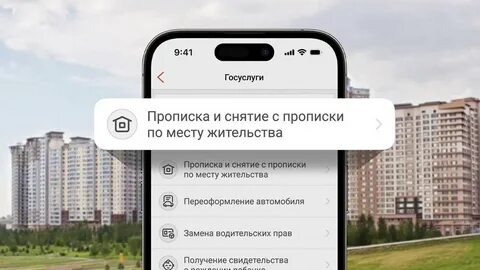 Как сейчас оформляют