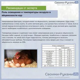 Оптимальная температура для кур несушек зимой