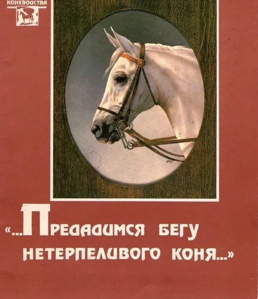 Снежный конь. Нетерпеливый конь. Нетерпеливый конь. Необузданная лошадь. Лошадь бежит.