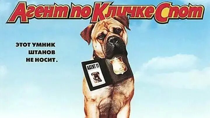 Агент по другому как называется. Агент по кличке спот. спот собака. пес по кличке спот.