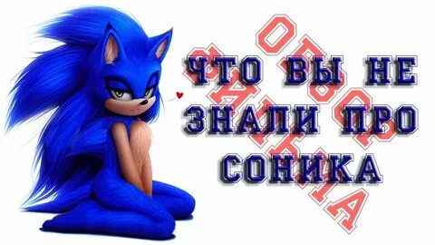 Сонник сцена
