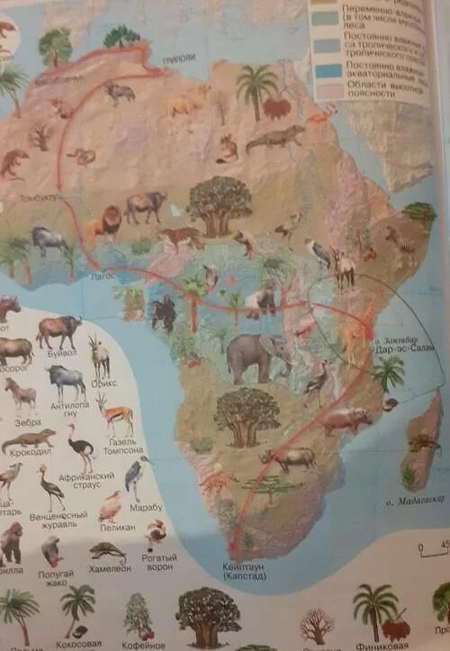 Внимательно изучим маршрут. Схема безопасного маршрута движения детей дом-школа-дом. Маршрут оз виктория дар эс салам. Вулкан камерун на карте африки. Внимательно изучим маршрут.