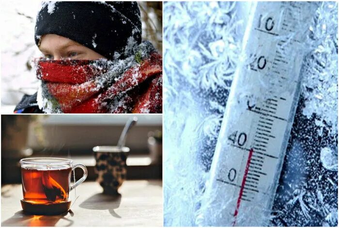 Покормите бездомных животных зимой. Зимняя фотосессия. Три месяца зимы четвертый в подарок. Переживем ли зиму. Трава зимой.