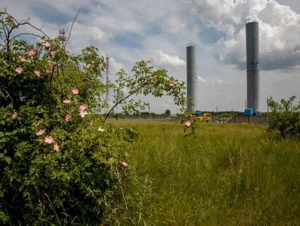Троицкое курская область железногорский погода