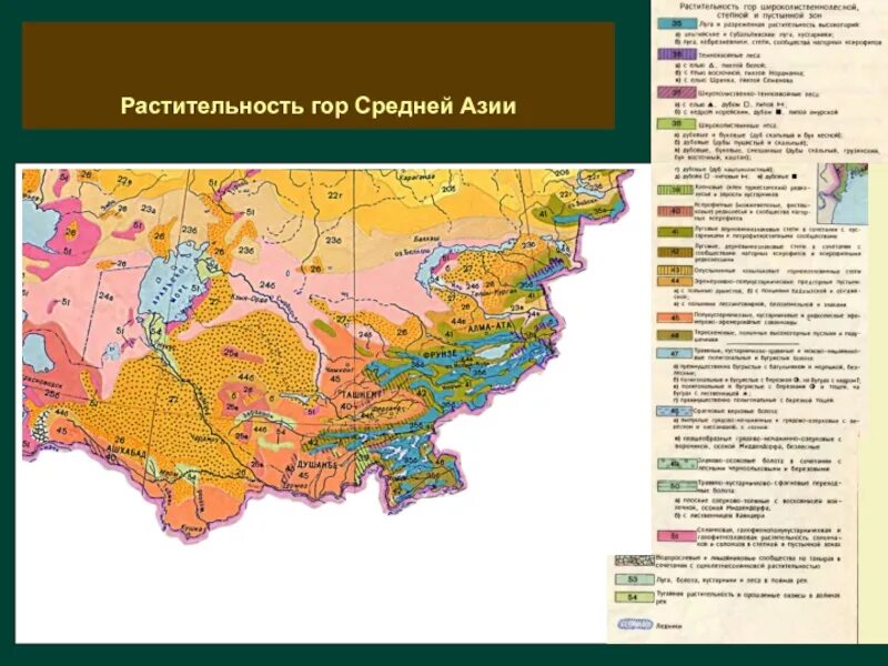 Ископаемые средней азии. Карта растительности средней Азии. Почвенная карта средней Азии. Карта почв средней Азии. Природные зоны средней Азии карта.