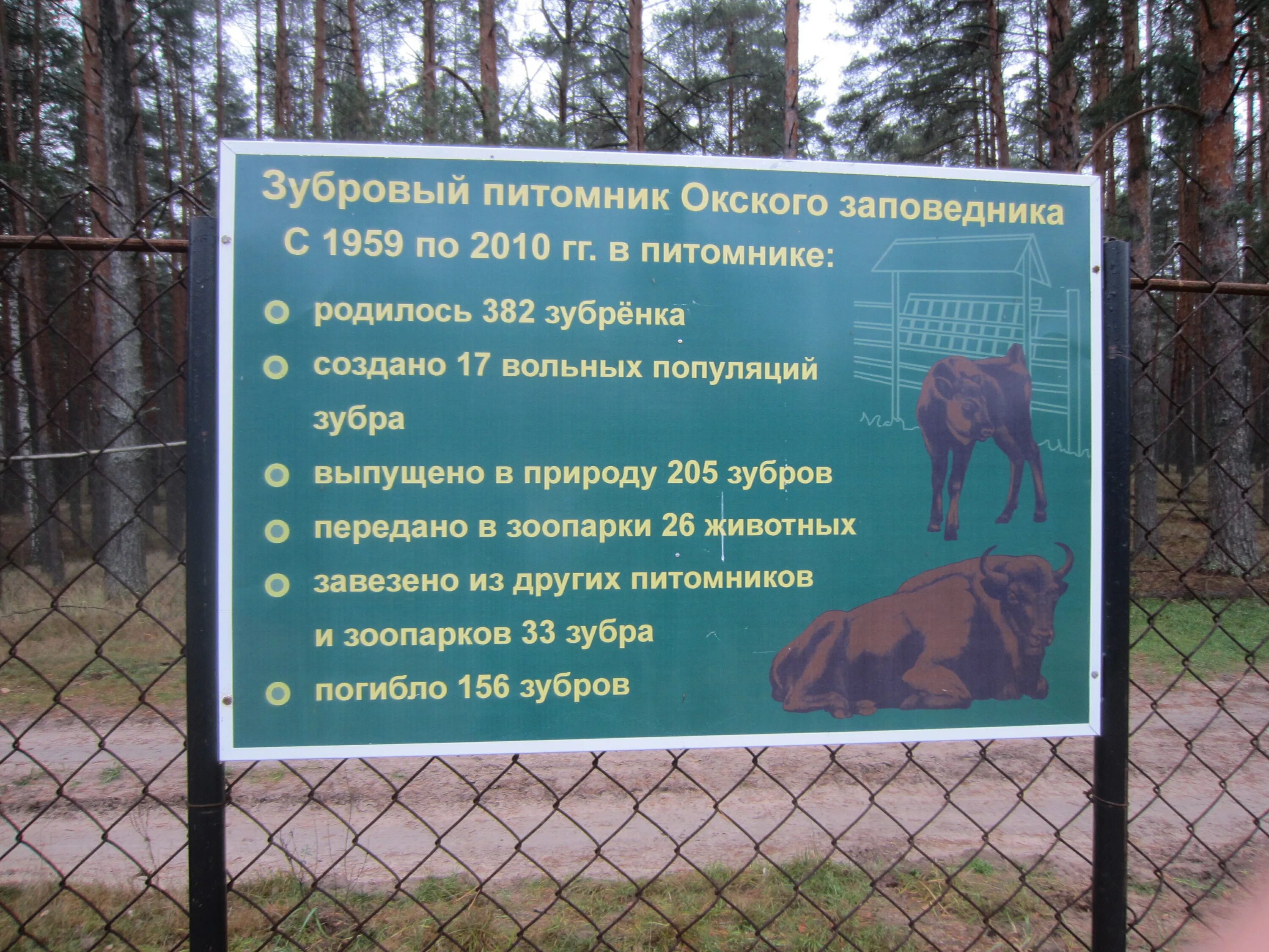 Окский заповедник кратко. Окский заповедник зубры. музей окского заповедника. питомник зубров окский заповедник.