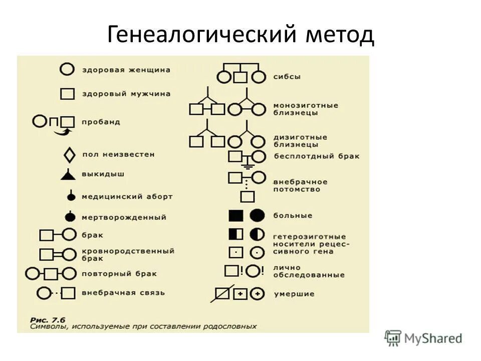генеалогический метод генетики человека кратко. родословная генеалогический метод. генеалогический метод изучения наследственности человека. классификация генеалогического метода. классификация генеалогического метода.