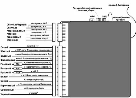 Реалити-теледидардағы порно шоуларды қараңыз