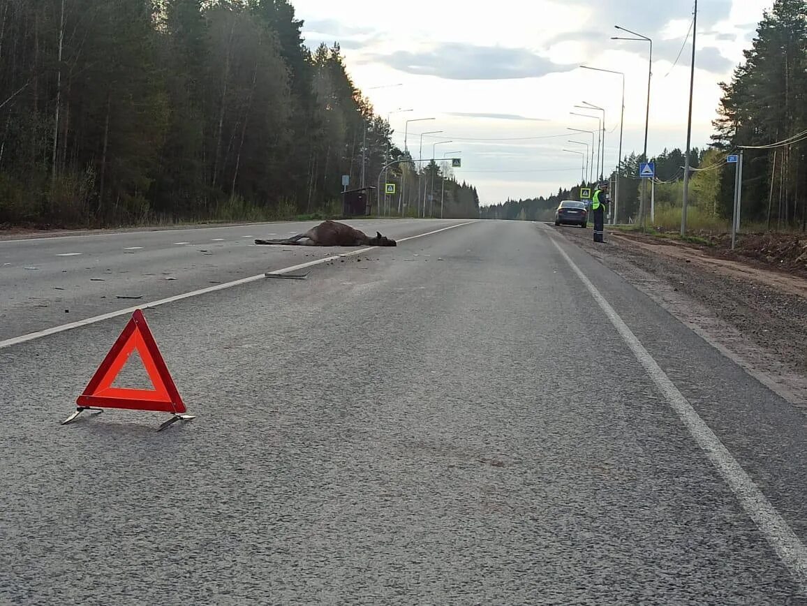Киров ува. Киров ува