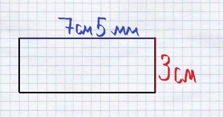 5 сантиметров в клетках