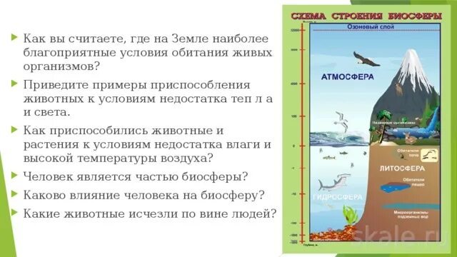 Наиболее благоприятные условия для живых организмов в атмосфере. Благоприятные условия примеры. Наиболее благоприятные условия для жизни живых организмов. Распространение живых организмов на земле. От чего зависит распространение живых организмов