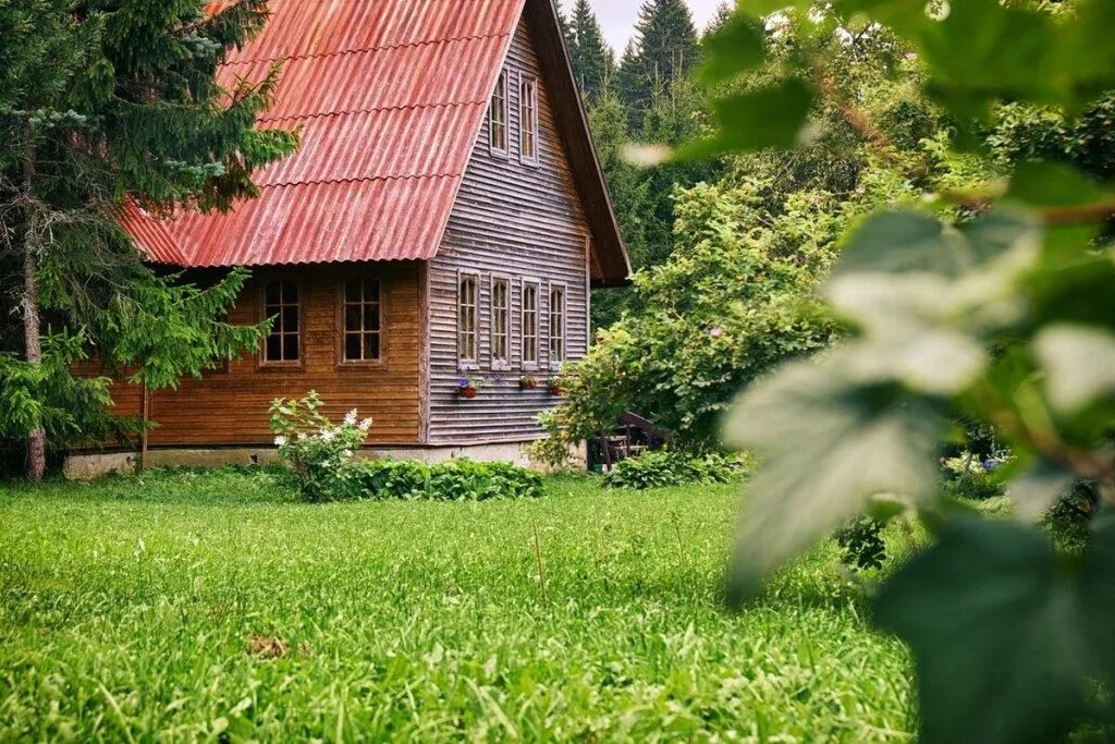 Дачная амнистия как оформить участок. Дачная амнистия. дачная амнистия фото. дача картинки.