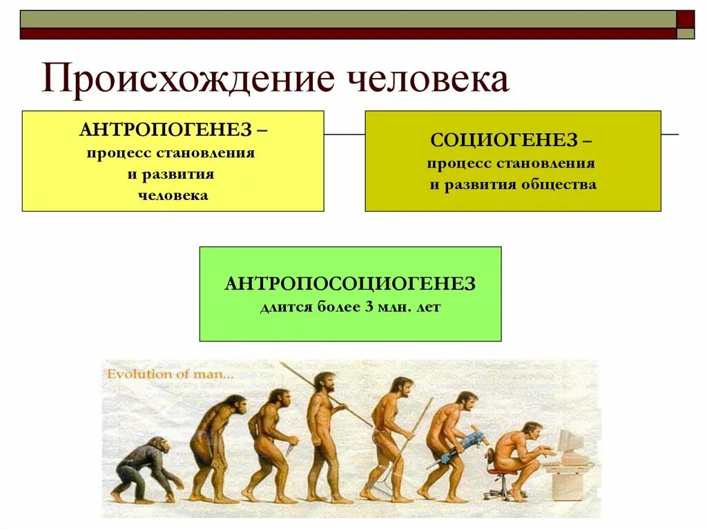 Возникновение человеческого труда. Происхождение человека. процесс становления человека. эволюция человеческого общества. антропогенез это процесс.