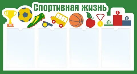 Спортивная жизнь школы