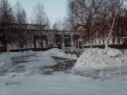 Погода г свободный амурская область на сегодня