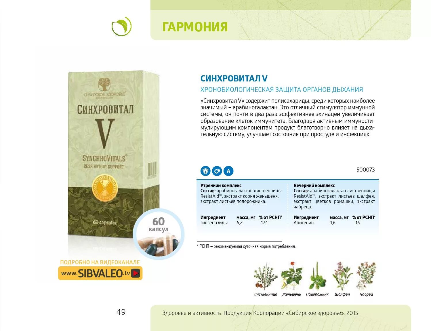 Сибирское здоровье отзывы покупателей и врачей. Sibirskiy zdarove. Новомин 220 капсул сибирское здоровье. Природный инулиновый концентрат сибирское здоровье. Сибирское здоровье siberian wellness.