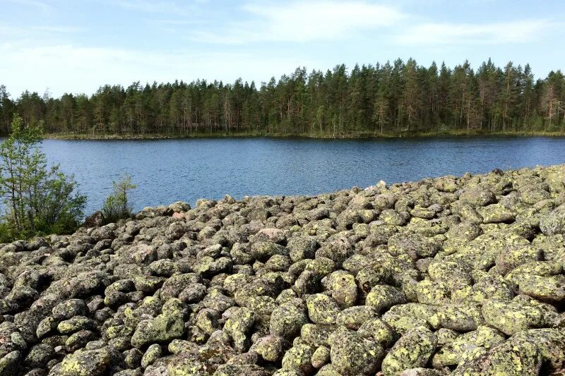 3 гряда. Озовая гряда. ууксинская озовая гряда. озовая гряда паанаярви. озовая гряда питкяранта.